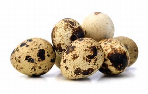 Quail Eggs(18)
